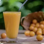 Suco natural taperebá c/Leite 300ml
