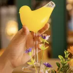 MIMOSA