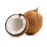 椰子 Coco