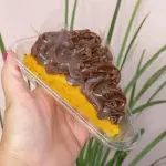 Fatia Bolo de Cenoura Chocolatudo
