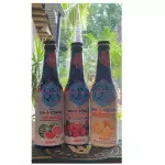 QN Gin + Tônica