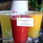 Garrafa G suco da fruta(não polpa)