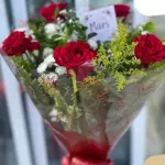 5 rosas vermelhas - RD