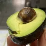 Aguacate