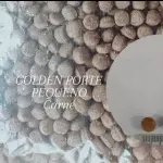 GOLDEN ADULTO CARNE MINI BITS 1KG