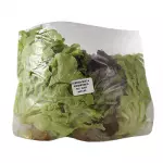 Assorted Hydroponic Lettuce