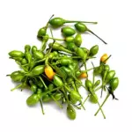 Chiltepe Pequeno (4 onz)