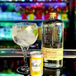 GIN TONIC MG