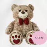 Teddy