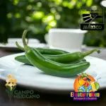 Chile Serrano Pza