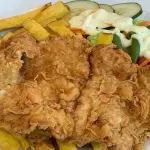 Mostrazo broaster