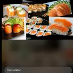 51 peças salmão
