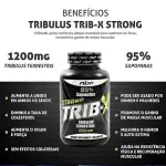 TRIBULLUS - X - NBF (100 TABLETS)