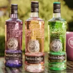 PUERTO DE INDIAS GIN