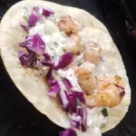 Taco camarón NV