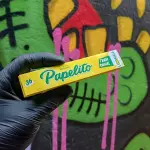 Seda Papelito King Size Longa