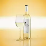 Copa di vino Blanco portugués