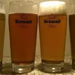 VASO BERNARD