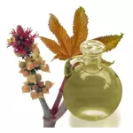 ACEITE DE RICINO 100% VIRGEN