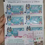 Kit de 30 pz