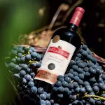 Vinho Quinta do Morgado (750ml)