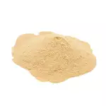 Levedo de Cerveja