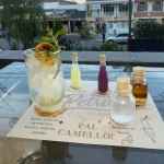 Pál camello