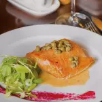 Salmon