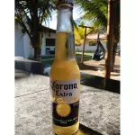 CORONA LONG NECK