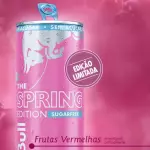 Red Bull Zero Frutas Vermelhas ⚡