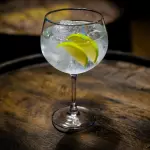 GIN TONIC