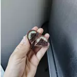 Trufa brownie