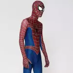 Disfraz Hombre araña