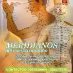 ¿Dolor o rigidez en las rodillas?
