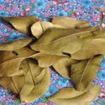 Cataia 100g