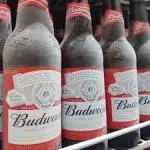 BUDWEISER 600ML