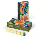 Caixa de Fósforo Cores