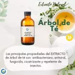 EXTRACTO HG ARBOL DE TE