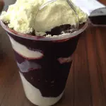 Açaí Leite Ninho e condensado 300ml