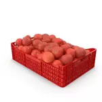 Tomatoes