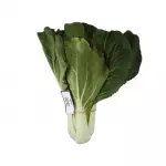 Organic Pak Choi Lettuce
