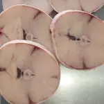 Bagre dorado