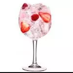 PINK GIN & TONIC