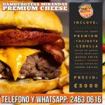 Hamburguesa Premium Cheese