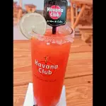Bloody Mary
