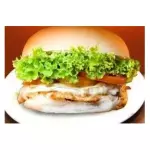 X- Frango