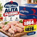 ALITA PILGRIMS 12KG