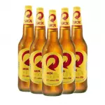 Caixa C/24 Skol 600ml