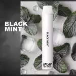 BIG MAX - BLACK MINT
