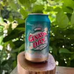 CANADA DRY GINGER ALE (LATA)